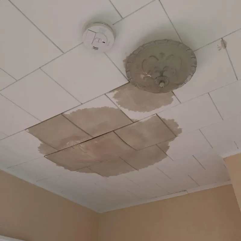 Ceiling Water Damage Repair in Worth County, IA