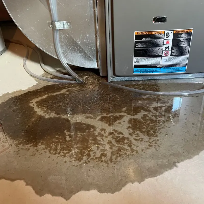 Pipe Burst and Leak Restoration in Worth County, IA