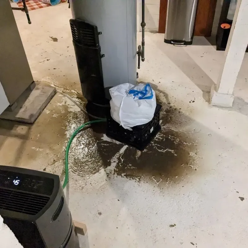 Sewage Backup Cleanup Service in Worth County, IA